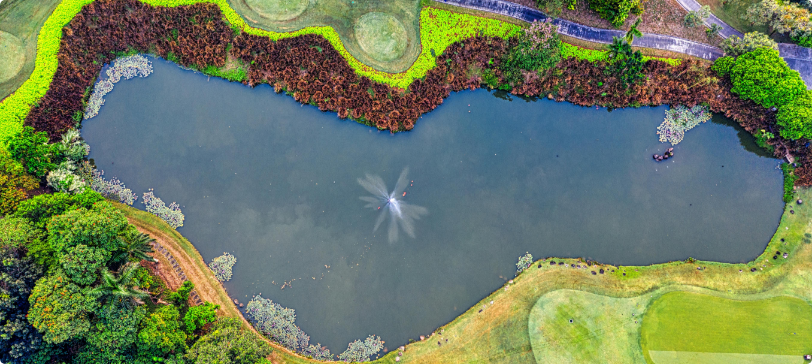Birds Eye View of a Recreation Pond in a Commercial Park