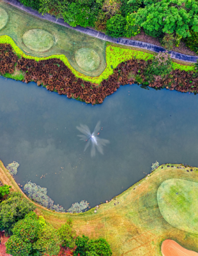 Birds Eye View of Newly Renovated Large Backyard with Pond