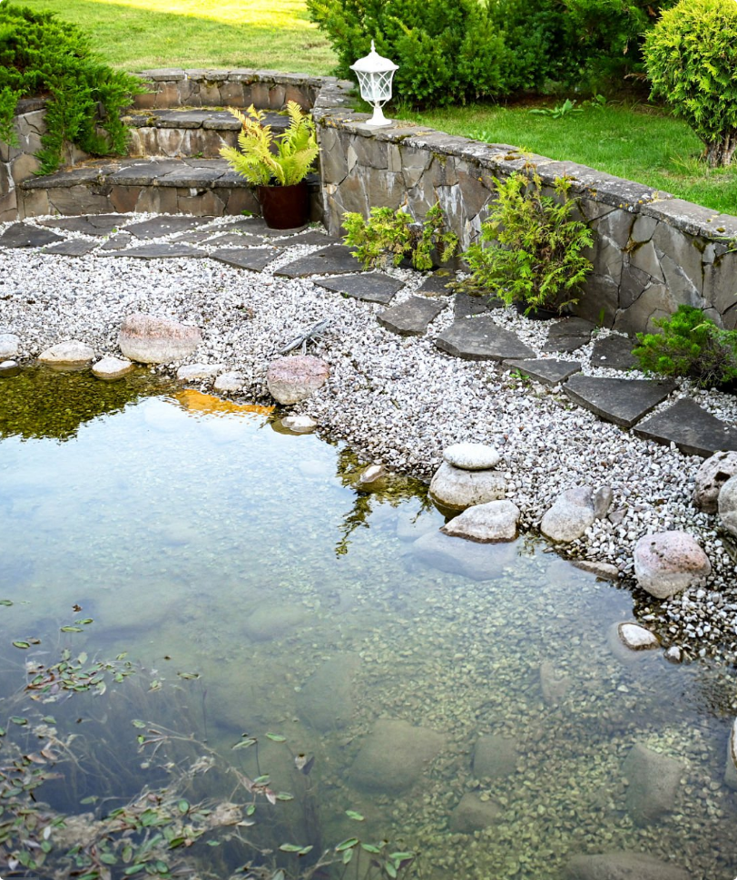 Small Custom Made Pond with Greenery in a Backyard