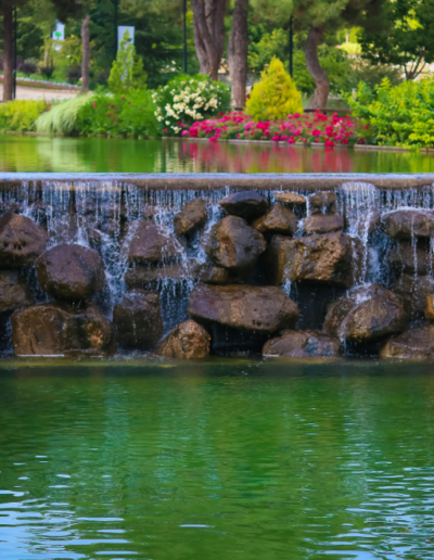 Heritage Listed Park Rock Pond