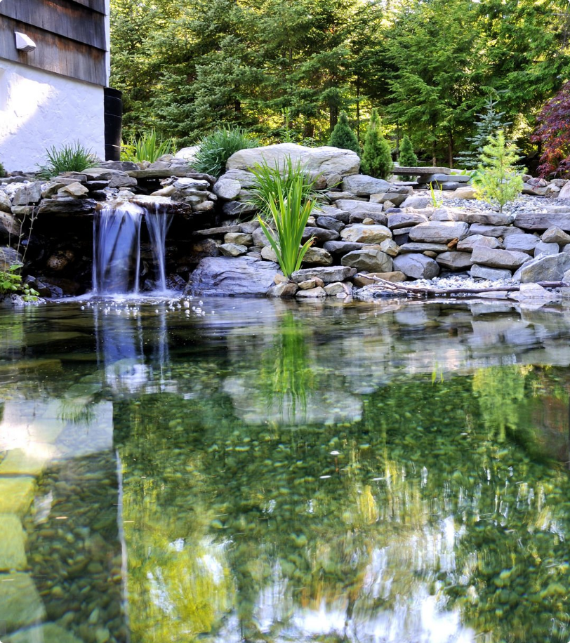 Recreational Pond in Large Residential House with Gardening Surrounding