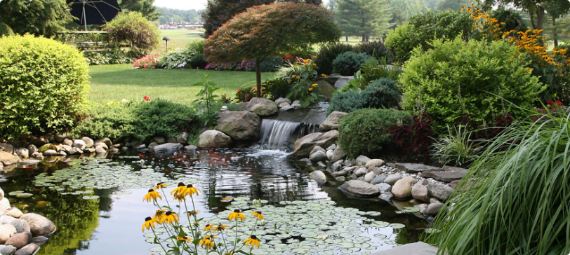 Recreational Pond in Large Commercial Property with Gardening Surrounding