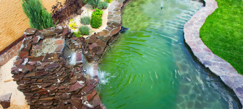 Birds Eye View of Rock Pool with Rock Creation that Leads to a Waterfall into Rock Pool